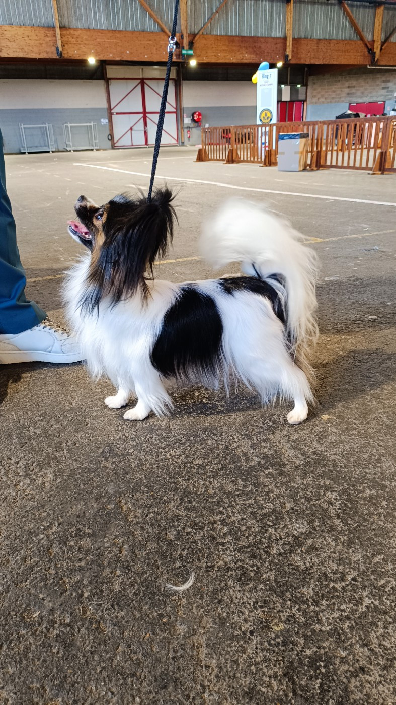 casa madico's Xtravaganza